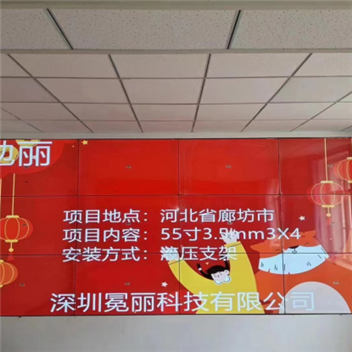 河北省廊坊市 | 液晶拼接屏，55寸3.5mm，3行×4列。